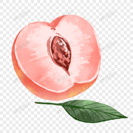 91禁片APPAPP应用